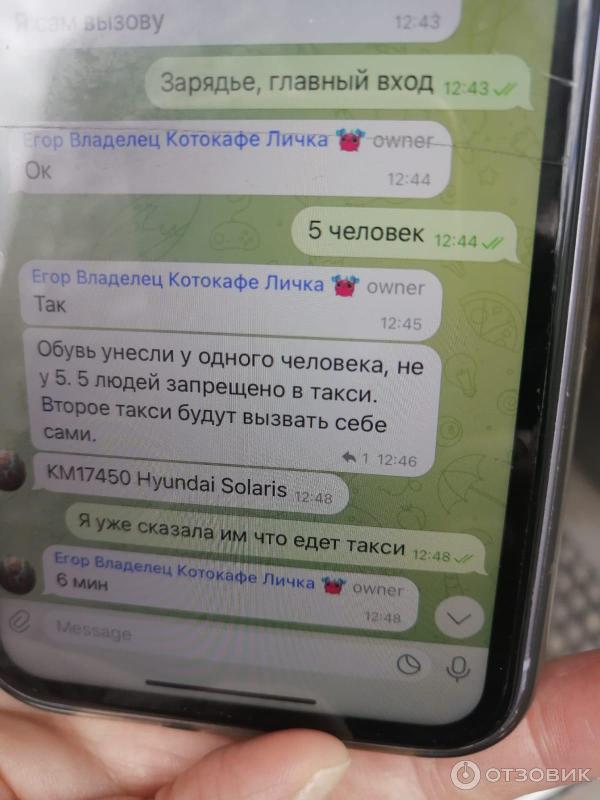 Отзыв о Кафе "Котики и люди" (Россия, Москва) | Если хотите ...