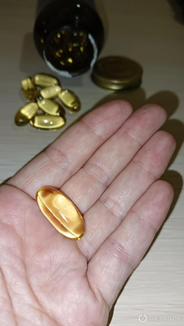 Отзыв о БАД Solgar Omega-3 | Очень нужный элемент
