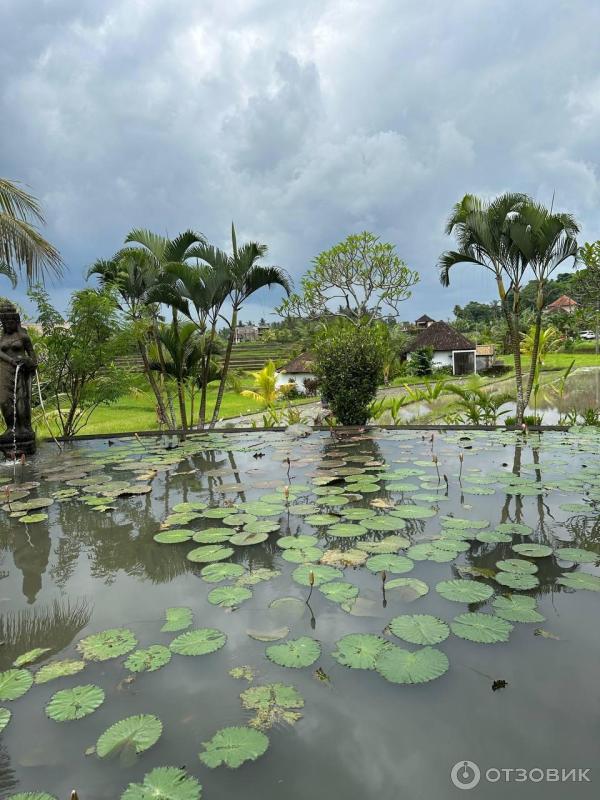 Отзыв о Туроператор "Тез тур" | Очень крутое агентство