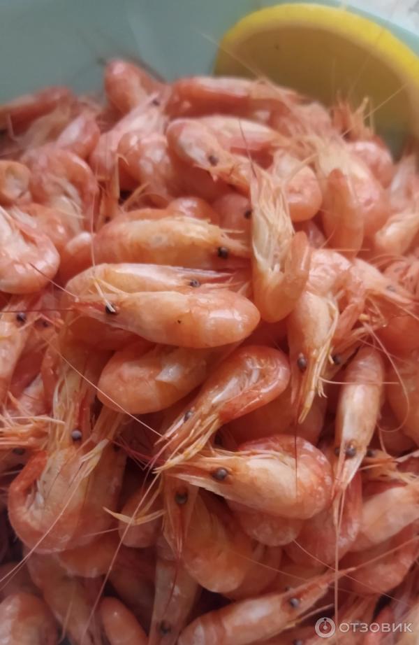 запах креветок. креветка красная дикая аргентина. перемороженные креветки. запах креветок. запах креветок.