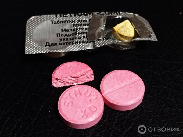 Отзыв о Синулокс Zoetis | Лечение цистита от Esсherichia coli ...