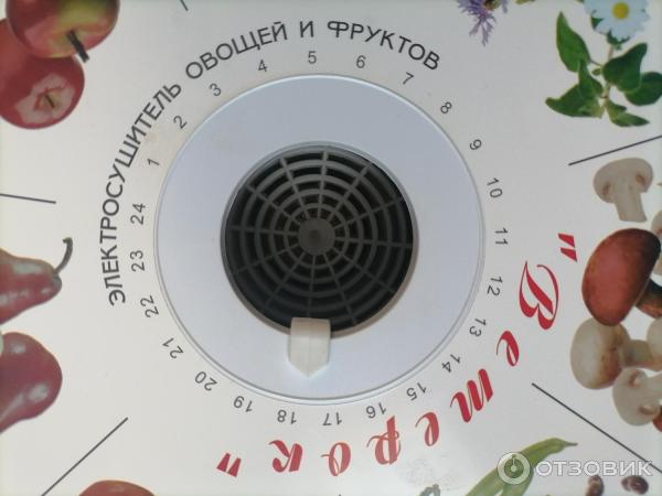 Отзыв о Электросушитель для овощей и фруктов Спектр-Прибор ЭСОФ-0,5/220 ...