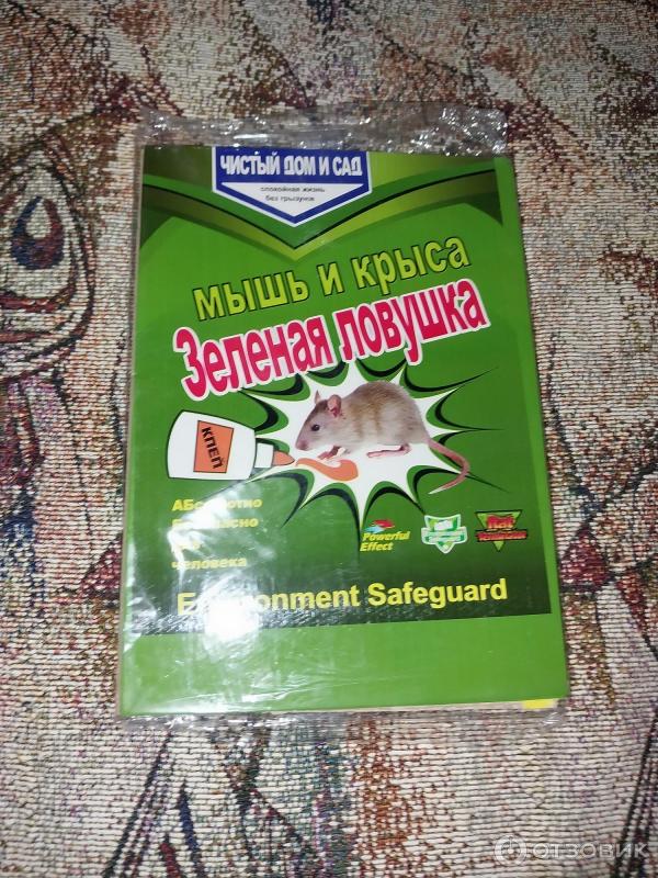 Отзыв о Ловушка Чистый сад "Мышь и крыса" | И да и нет.(фото)