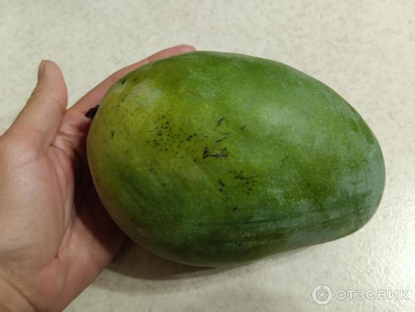 Отзыв о Манго Egyptian Mango | Вкусное и спелое, начиная с октября месяца