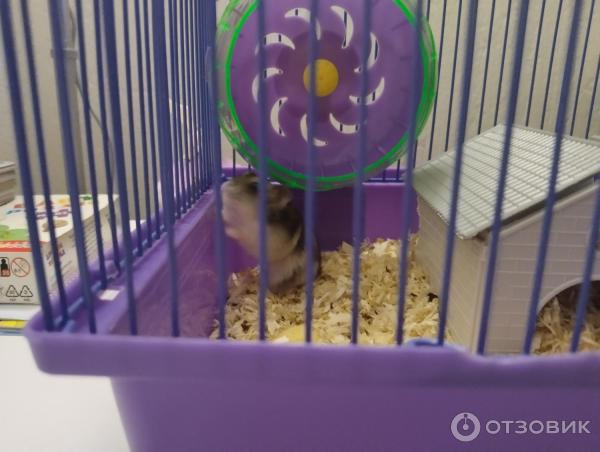 Отзыв о Клетка для грызунов Alisa | Отличный домик, для грызунов