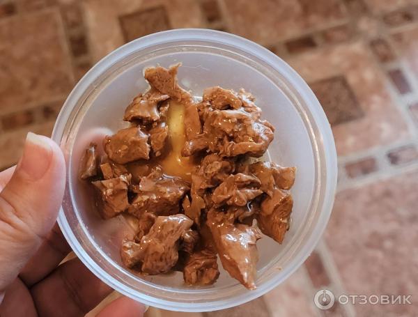 Отзыв о Влажный корм для кошек Purina Gourmet "Лосось в соусе" | Очень ...