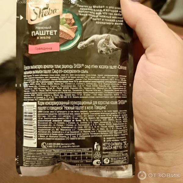 Влажный корм