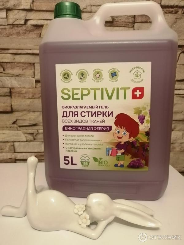Отзыв о Биоразлогаемый гель для стирки Septivit для всех видов ткани ...