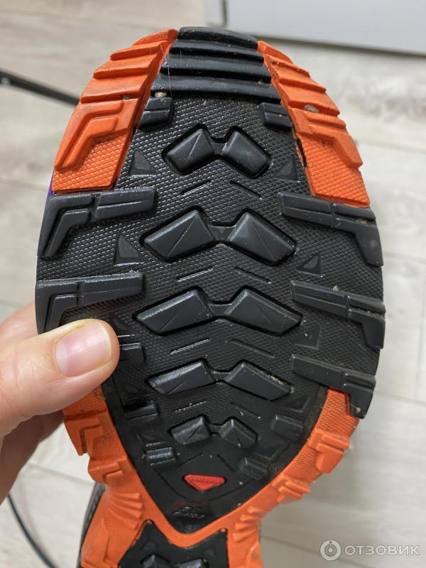 Отзыв о Кроссовки женские Salomon XA PRO 3d GTX LTD | Неубиваемые кроссовки
