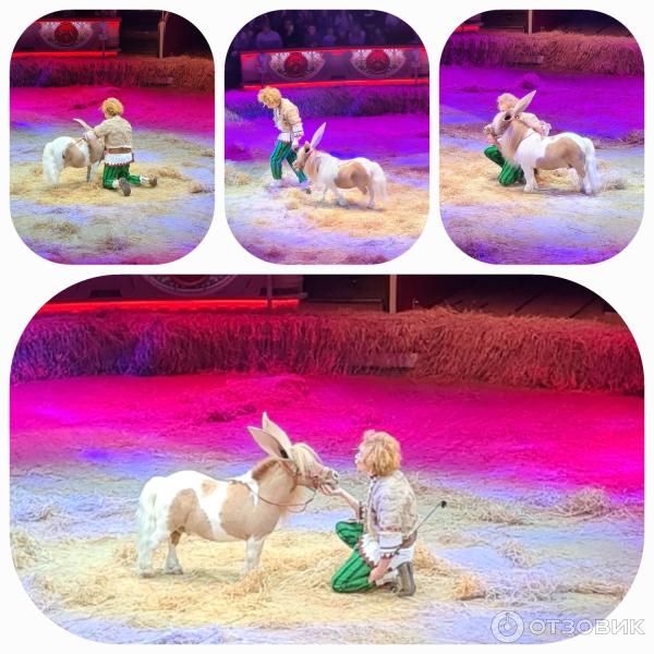 Представление Конек-Горбунок в Цирке Никулина на Цветном бульваре (Россия, Москва) фото