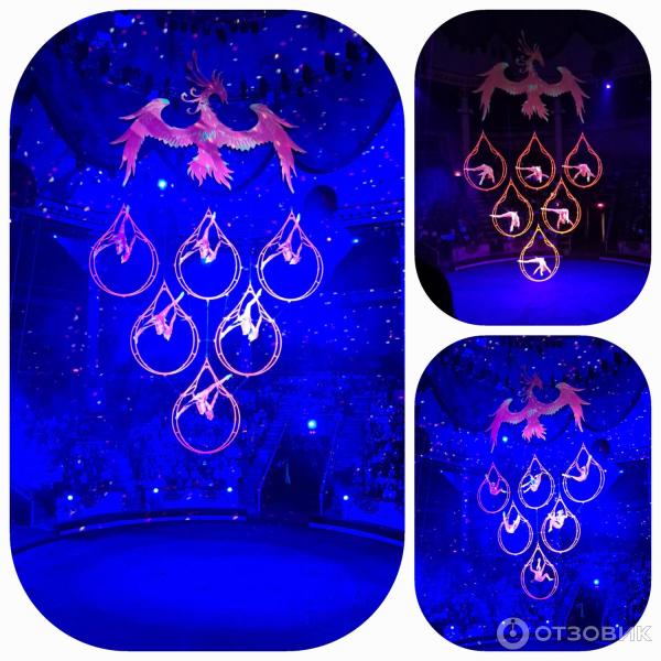 Представление Конек-Горбунок в Цирке Никулина на Цветном бульваре (Россия, Москва) фото