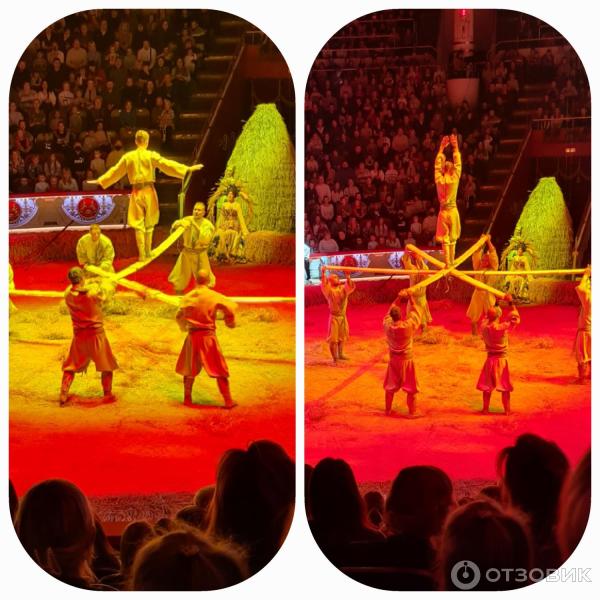 Представление Конек-Горбунок в Цирке Никулина на Цветном бульваре (Россия, Москва) фото