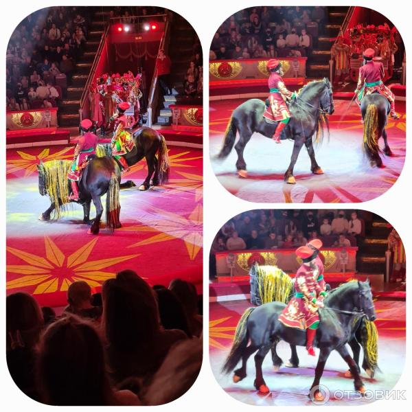 Представление Конек-Горбунок в Цирке Никулина на Цветном бульваре (Россия, Москва) фото