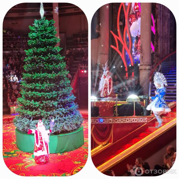 Представление Конек-Горбунок в Цирке Никулина на Цветном бульваре (Россия, Москва) фото