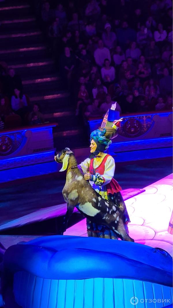 Представление Конек-Горбунок в Цирке Никулина на Цветном бульваре (Россия, Москва) фото