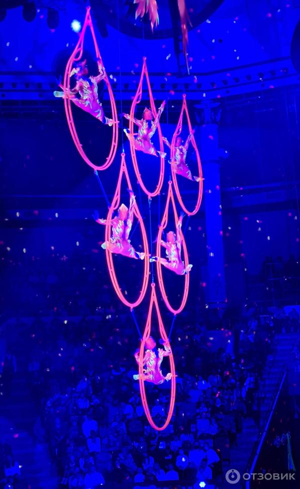 Представление Конек-Горбунок в Цирке Никулина на Цветном бульваре (Россия, Москва) фото