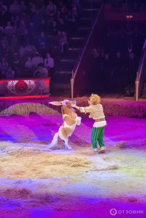 Представление Конек-Горбунок в Цирке Никулина на Цветном бульваре (Россия, Москва) фото