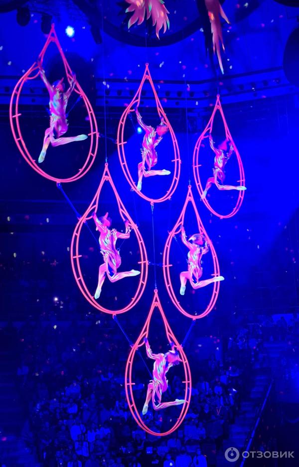Представление Конек-Горбунок в Цирке Никулина на Цветном бульваре (Россия, Москва) фото