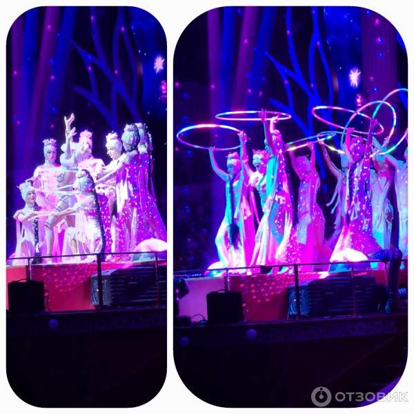 Представление Конек-Горбунок в Цирке Никулина на Цветном бульваре (Россия, Москва) фото