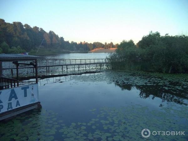 Берег вы такая красивая очень