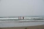 Пляж Морджим (Индия, Гоа) - отзывы